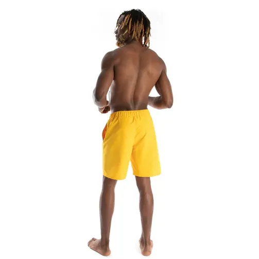 4133 / Swim Shorts